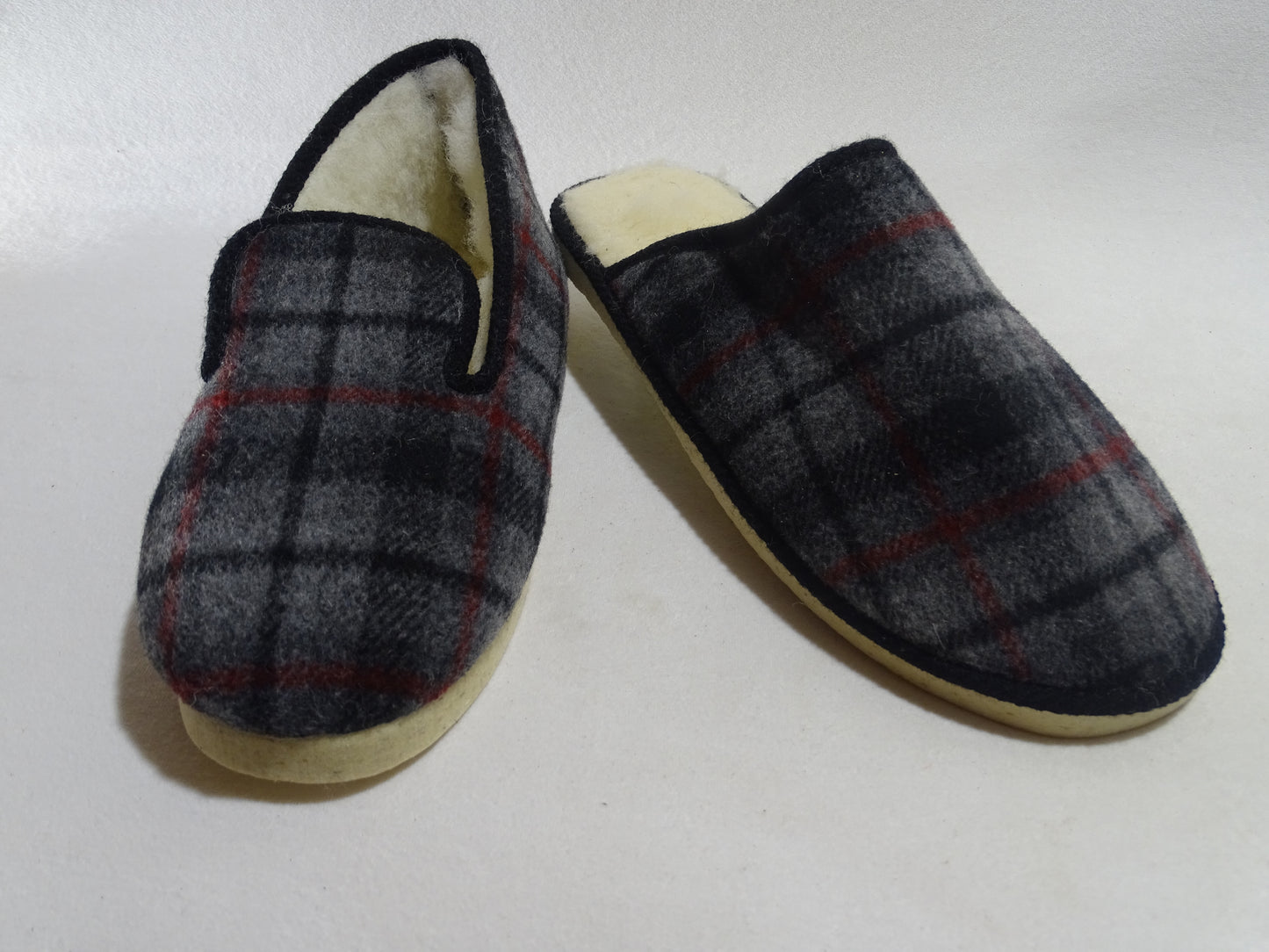 MULE QUIBERON